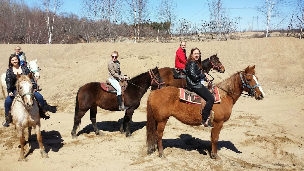 Ranch Liberté | 324 Côte Saint-Jean, Saint-Roch-de-Richelieu, QC J0L 2M0, Canada | Phone: (450) 743-9444