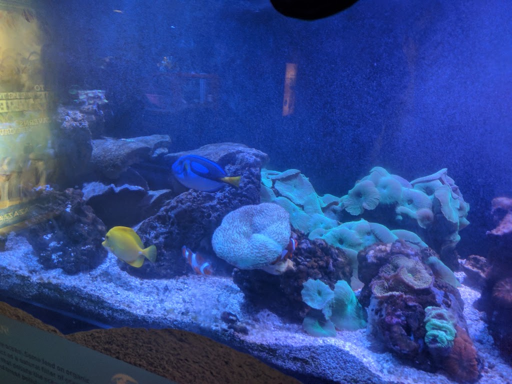 Marine Life | 8882 170 St NW, Edmonton, AB T5T 4J2, Canada | Phone: (780) 444-5320