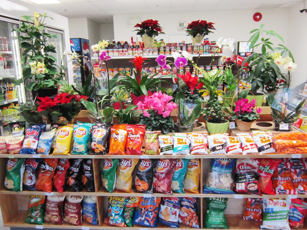 Skyline Mart | 104-13585 16 Ave, Surrey, BC V4A 1P6, Canada | Phone: (604) 725-7805