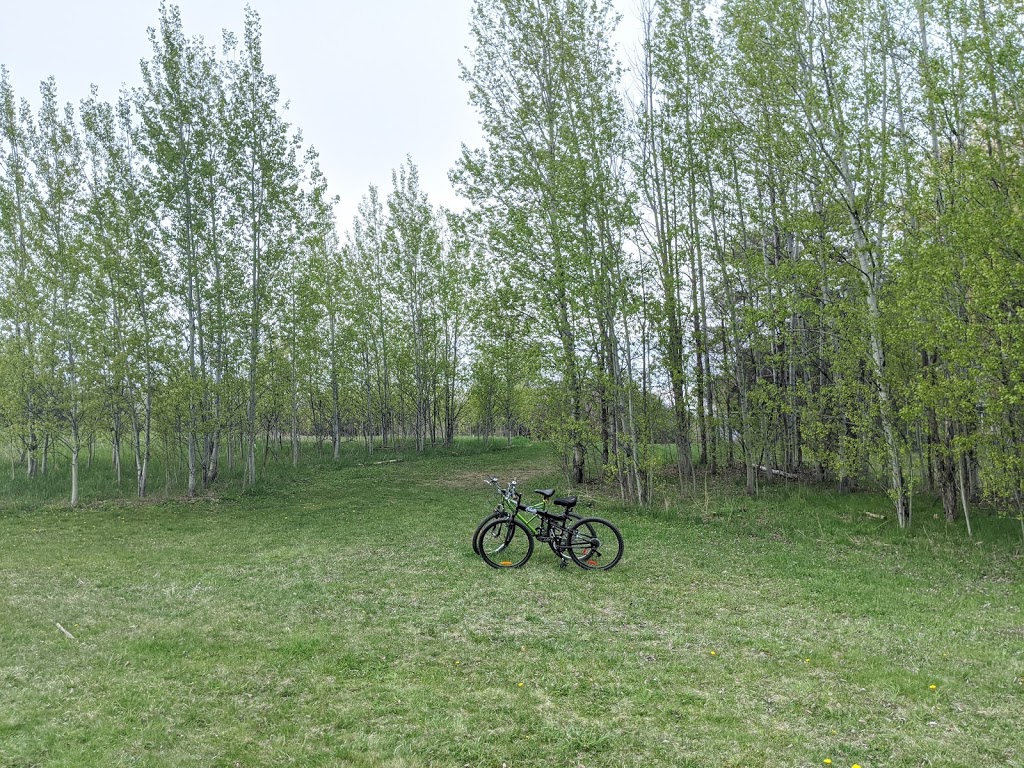 Grasshopper Hill Park | 1609 Kilborn Ave, Ottawa, ON K1H, Canada | Phone: (613) 580-2595