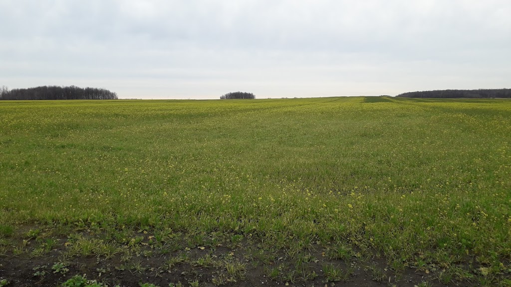 Ferme Cerpajo Enr | 158 Rang Charlotte, Saint-Liboire, QC J0H 1R0, Canada | Phone: (450) 793-2774