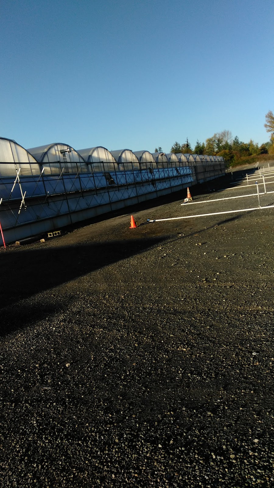 Smith Gardens | 1265 Marine Dr, Bellingham, WA 98225, USA | Phone: (360) 733-4671