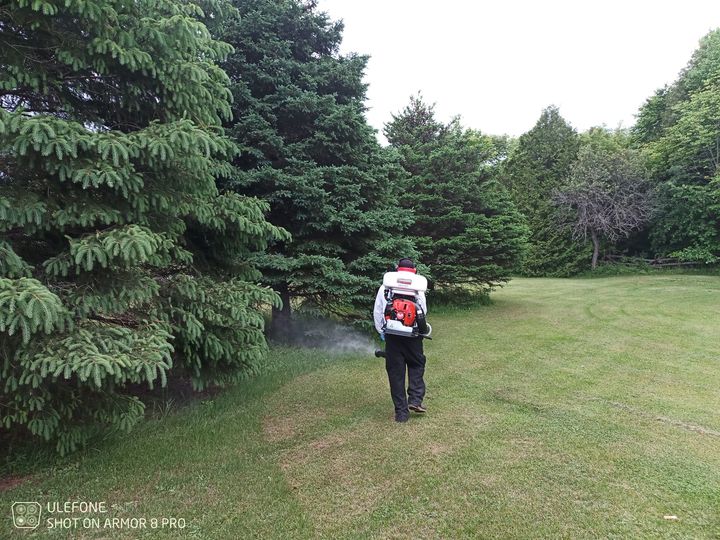 AAA Xterminator Inc. | 109 Bennett Lake Rd, Balderson, ON K0G 1A0, Canada | Phone: (613) 298-7026