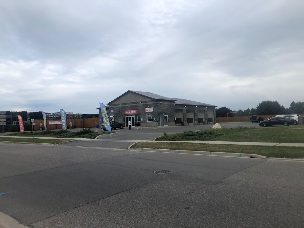 OneStop Carwash,laundromat &Dog wash | 68 Scott Ave, Paris, ON N3L 3R1, Canada | Phone: (519) 442-0008