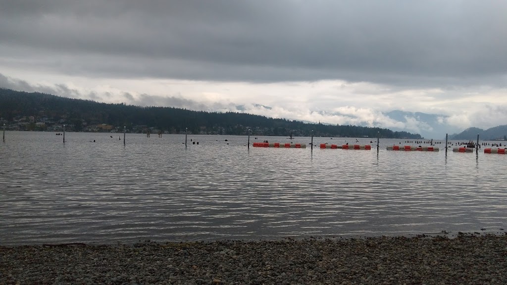 Silver Beach Grocery | 609 Northshore Dr, Bellingham, WA 98226, USA | Phone: (360) 734-4615