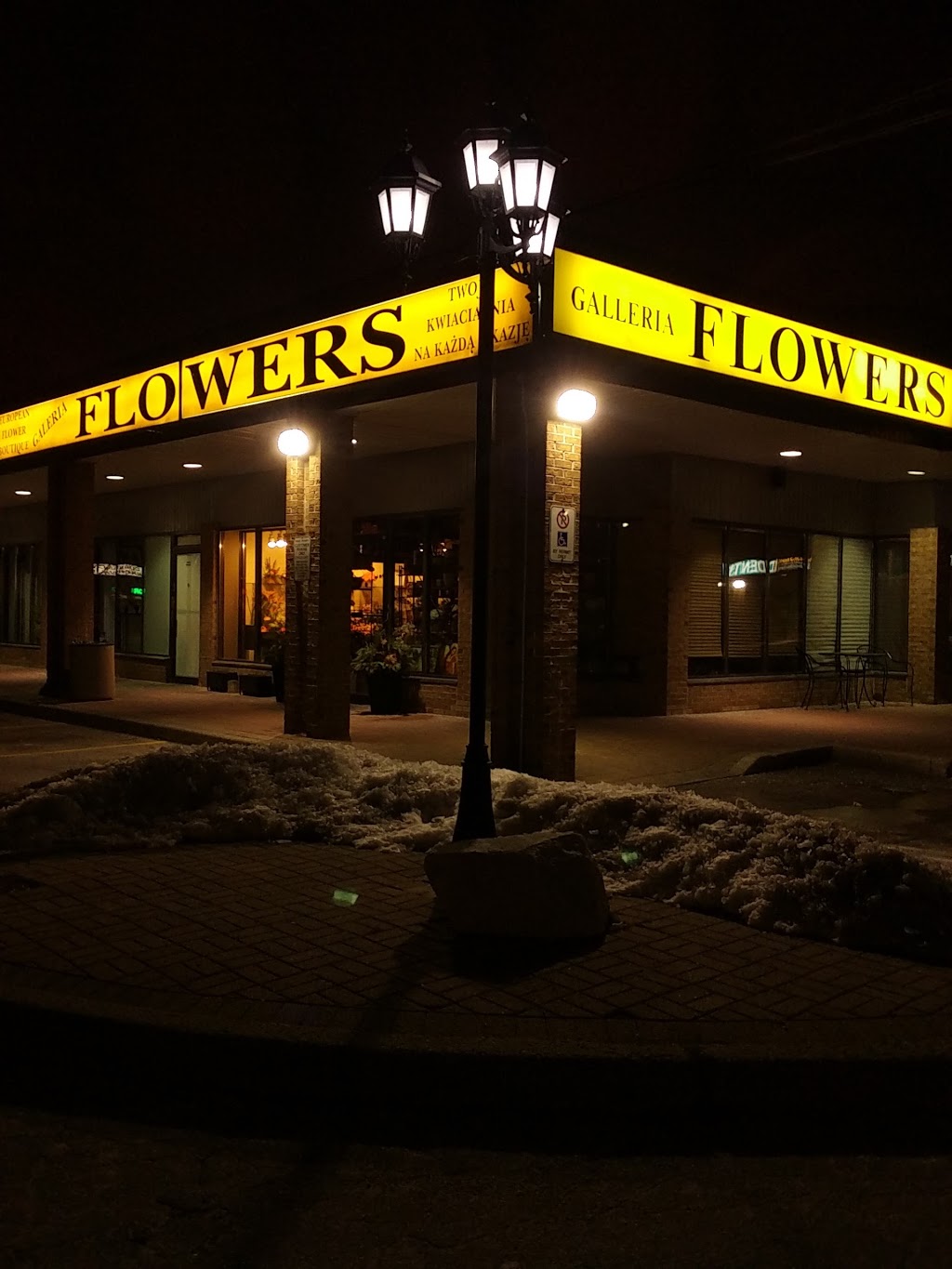 Galeria Flowers | 3631 Dixie Rd, Mississauga, ON L4Y 4H2, Canada | Phone: (905) 366-0366