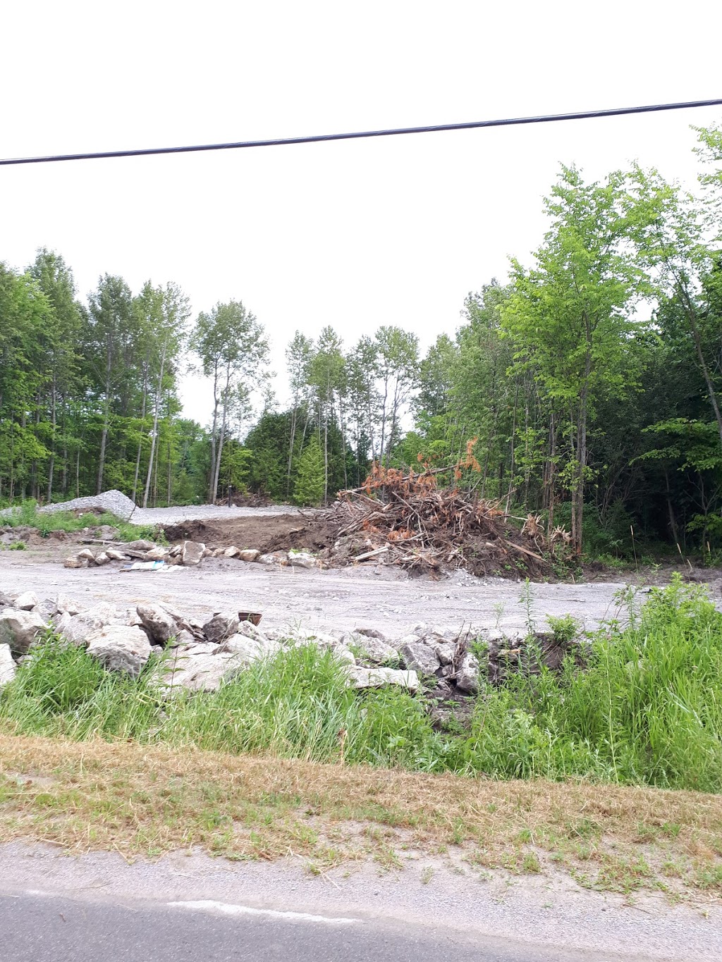 Allens Estate | 388 County Rd 41, Kirkfield, ON K0M 2B0, Canada | Phone: (289) 600-1445