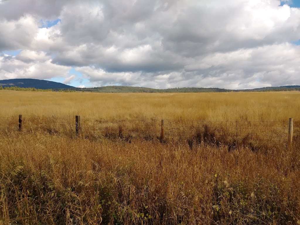 Okanagan Rail Trail | 15464-15516 Oyama Rd, Lake Country, BC V4V, Canada