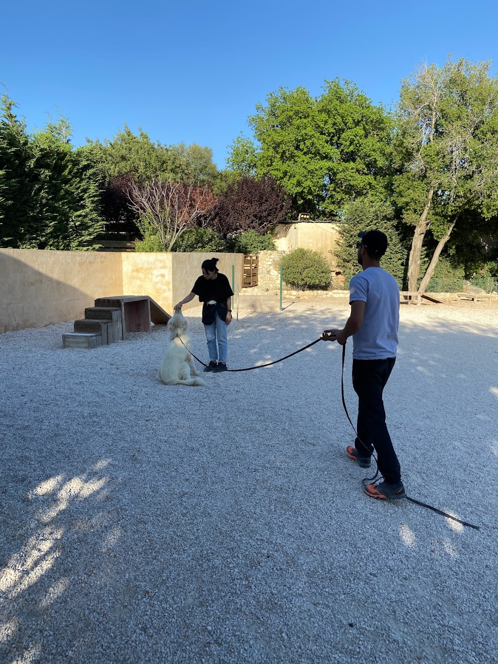 Dog trainer Dog Walker | 206 Ste-Anne Ave., Vanier, ON K1L 7C2, Canada | Phone: (438) 927-1561