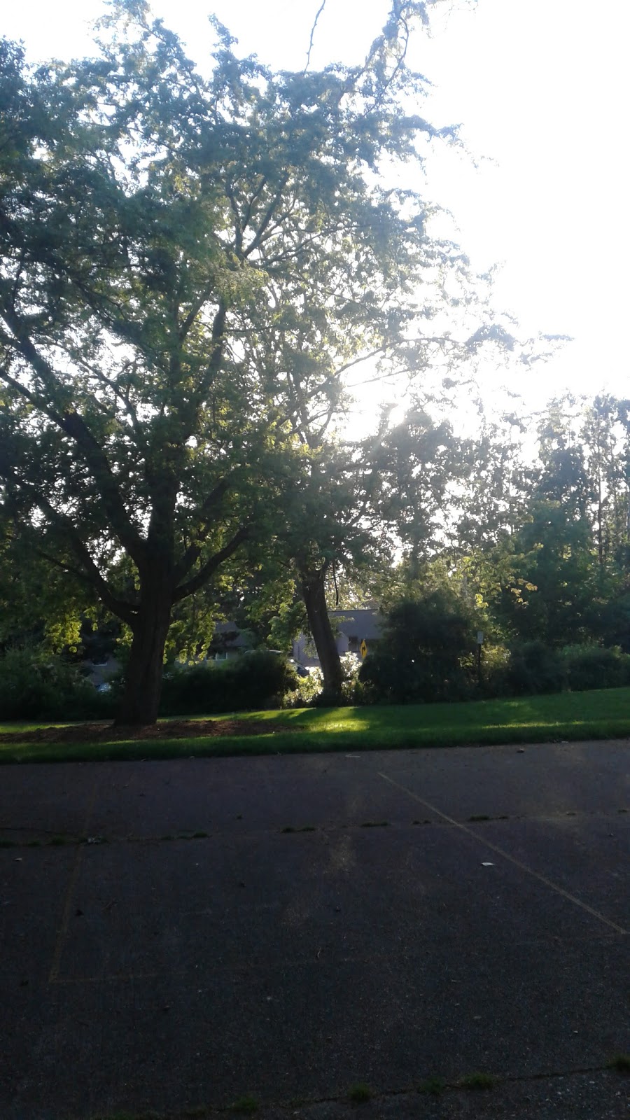 Highland Heights Park | Vining St, Bellingham, WA 98226, USA | Phone: (360) 778-8000