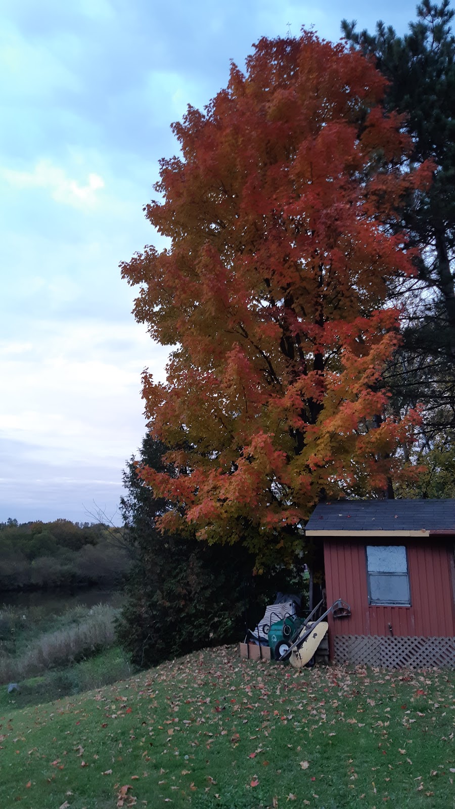Les Chalets Maric | 651 G Rang St Louis E, Lourdes, QC G0S 1T0, Canada | Phone: (450) 545-9727
