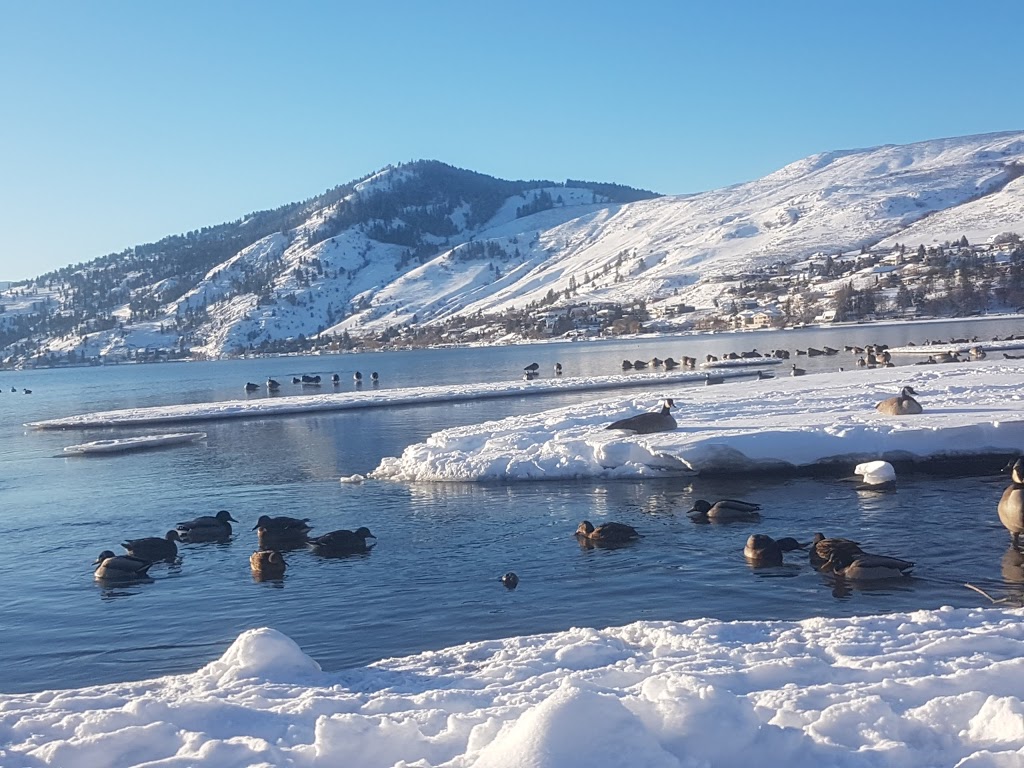 Sandy Beach Campground | 6900 Tronson Rd, Vernon, BC V1H 1X6, Canada | Phone: (250) 308-4633