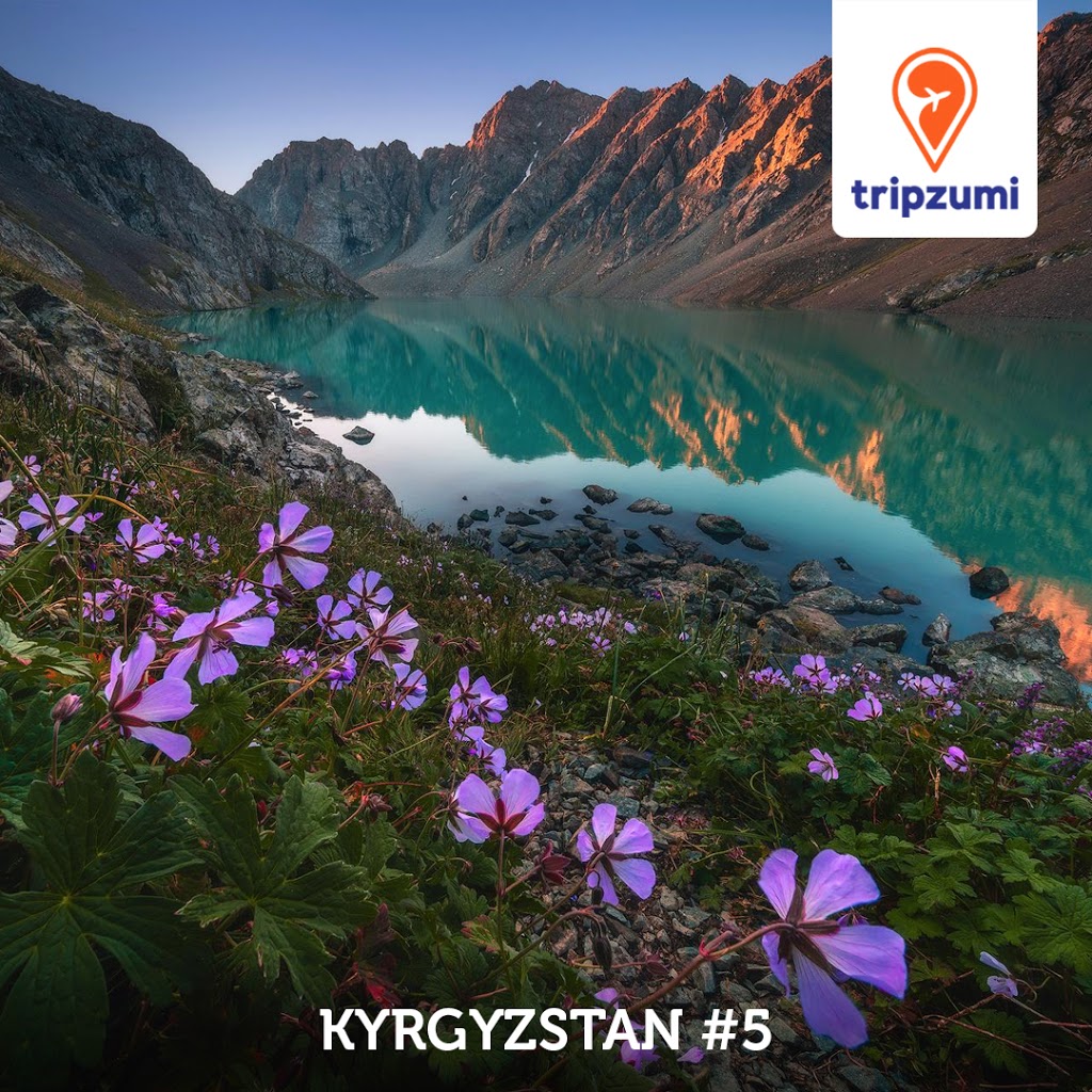 Tripzumi | 792 Kennedy Rd Suite 204, Scarborough, ON M1K 2C8, Canada | Phone: (416) 751-6000