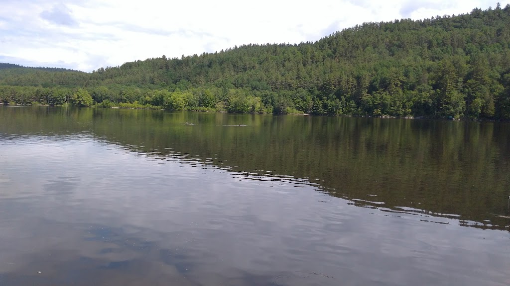 Algonquin Canoe Company - Swisha | 228 Rue Principale, Rapides-des-Joachims, QC J0X 3M0, Canada | Phone: (613) 586-2655