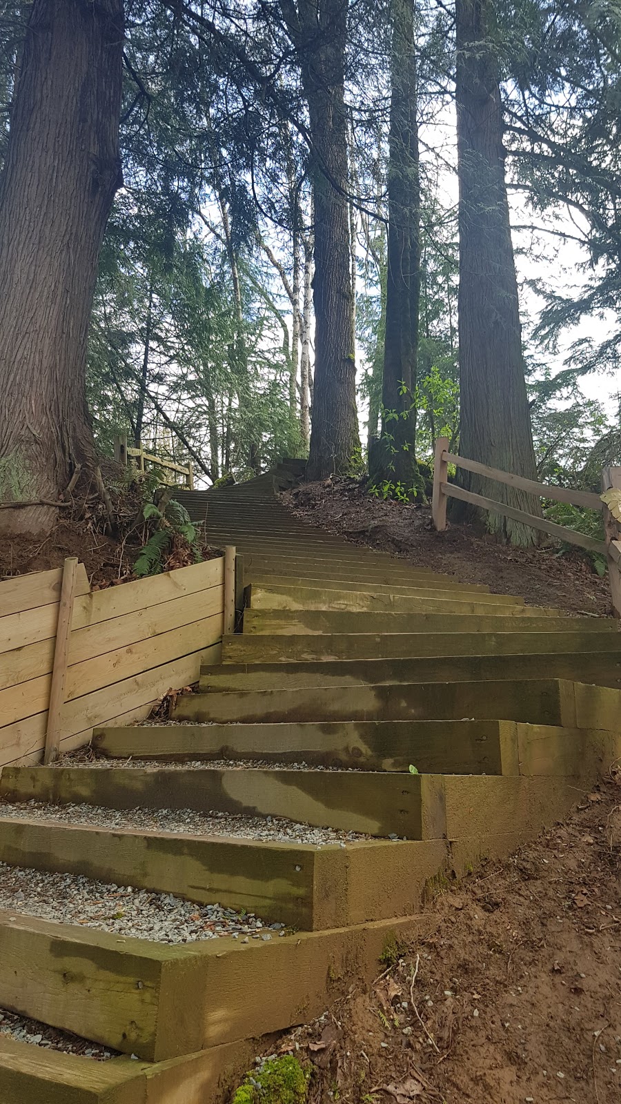 Auguston Stairs | park | Tom Thomson Ct, Abbotsford, BC V3G 3E5, Canada