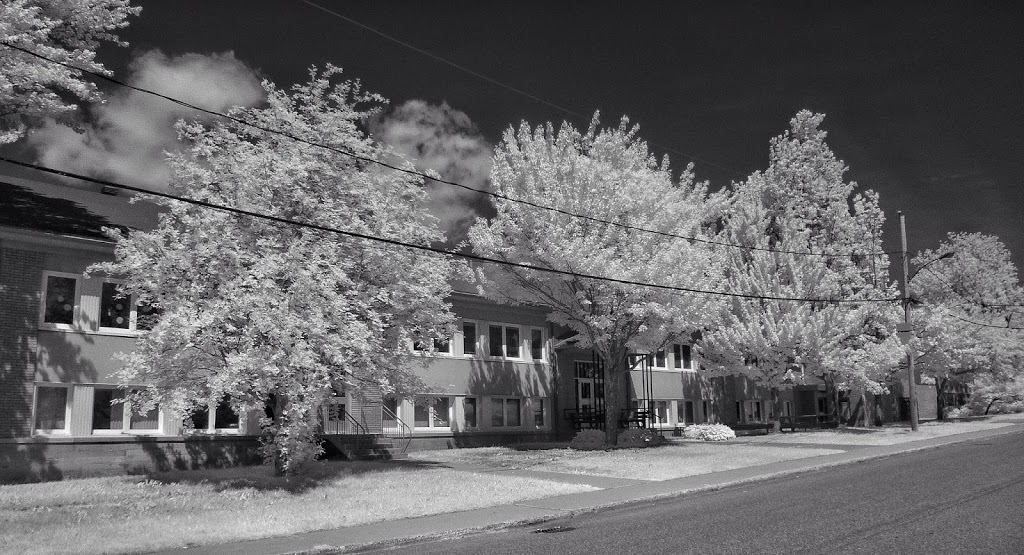 École Carillon | 43 Rue de Carillon, Sherbrooke, QC J1J 2K9, Canada | Phone: (819) 822-5682