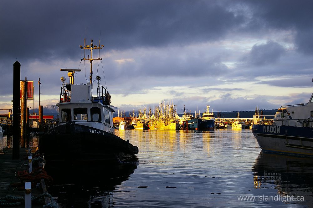 Diveco Marine | 200 Carmanah Dr, Courtenay, BC V9N 8N4, Canada | Phone: (250) 334-6598