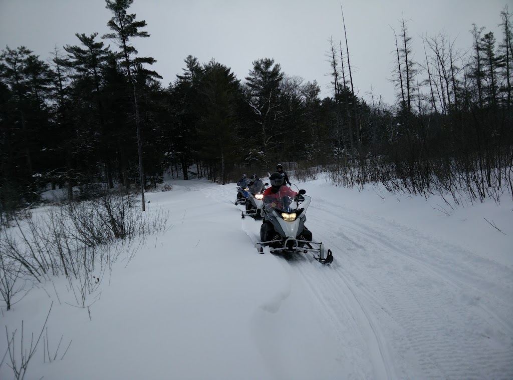 Muskoka Stay N Play Tours Inc. | 3048 Muskoka District Road 169, Bala, ON P0C 1A0, Canada | Phone: (705) 706-0494