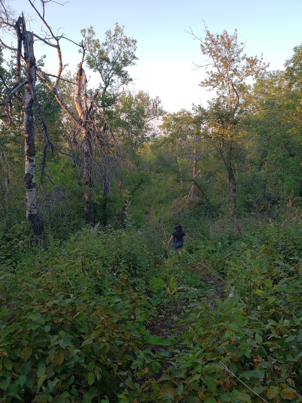 Fairy Hill Trail | Lumsden No. 189, SK S0G 0W0, Canada