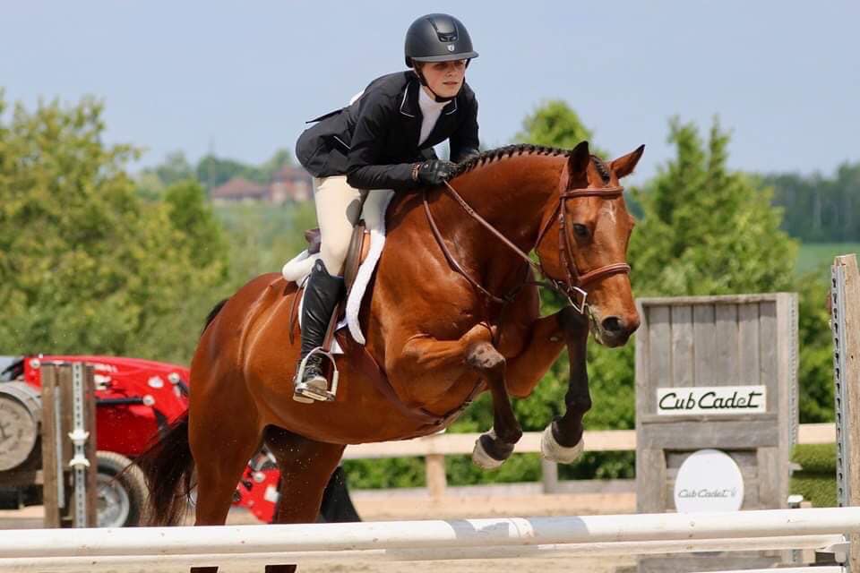 Out of The Blue Stables | 280 Mud Lake Rd N, Odessa, ON K0H 2H0, Canada | Phone: (613) 876-4324