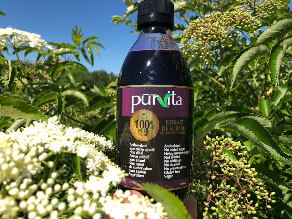 Purvita Elderberry | 851 Chem. Knowlton, Lac-Brome, QC J0E 2P0, Canada | Phone: (450) 522-5255