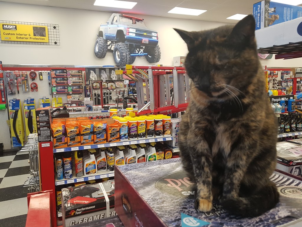 Lordco Auto Parts | 570 Wallace St, Hope, BC V0X 1L0, Canada | Phone: (604) 869-2441