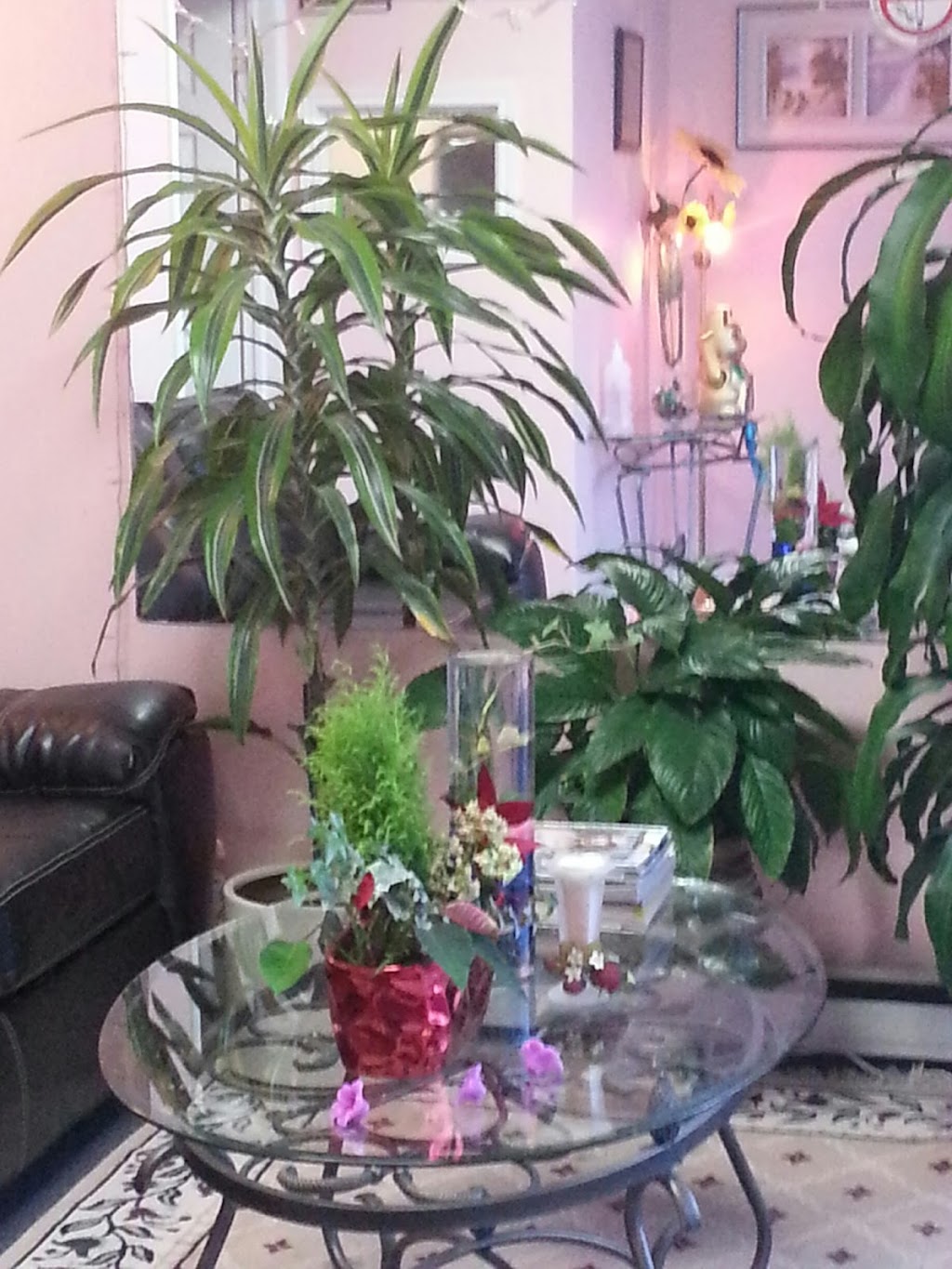Red Pearl Spa | 4385 Sheppard Ave E #5, Scarborough, ON M1S 1T8, Canada | Phone: (647) 352-1588