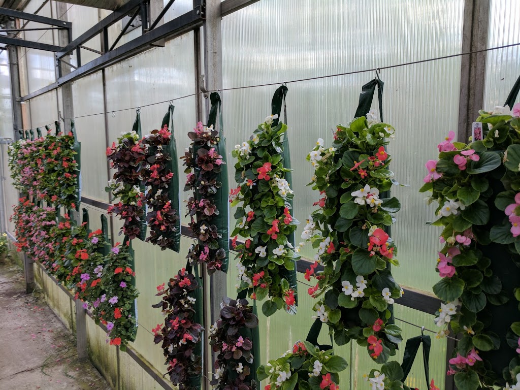 South Cooking Lake Greenhouses | 22324 Hwy 14, Sherwood Park, AB T8C 1H4, Canada | Phone: (780) 922-6765