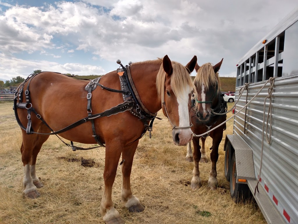 Bar U Ranch National Historic Site | Township Rd 17B and, Township Rd 17A, Longview, AB T0L 1H0, Canada | Phone: (403) 395-3044