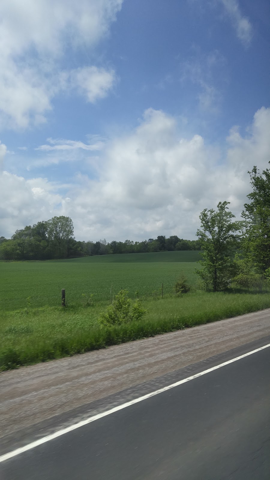 Maple Dale Cheese | 2864 ON-37, Plainfield, ON K0K 2V0, Canada | Phone: (613) 477-2454