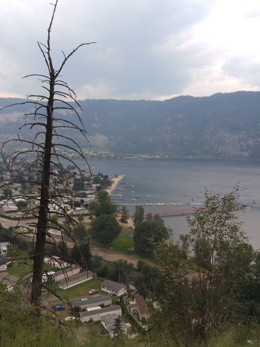 Chase Veterinary Clinic | 614 Shuswap Ave, Chase, BC V0E 1M0, Canada | Phone: (778) 765-1018