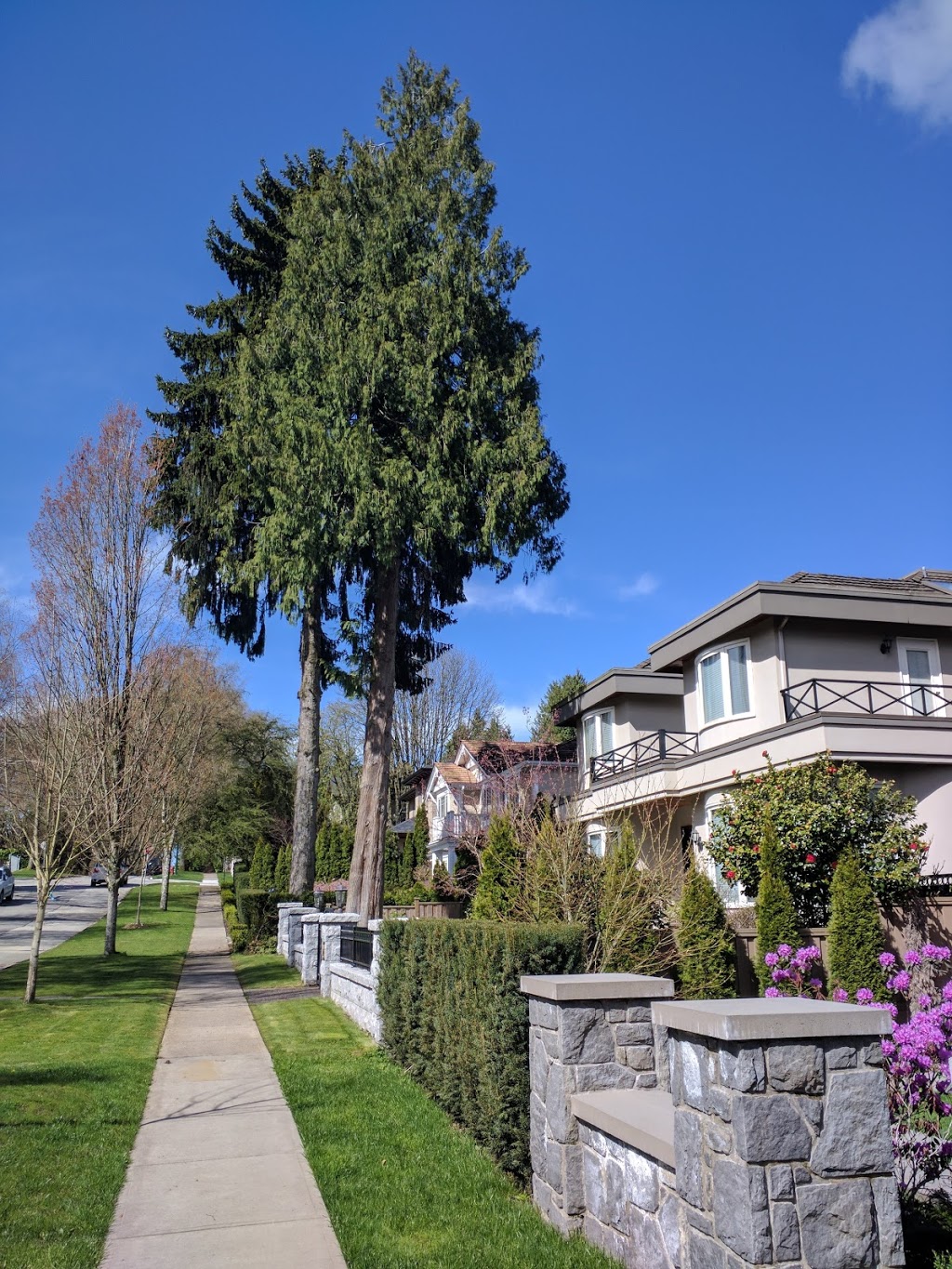 Ravine Park | 2159 W 36th Ave, Vancouver, BC V6M 1J2, Canada | Phone: (604) 257-8400