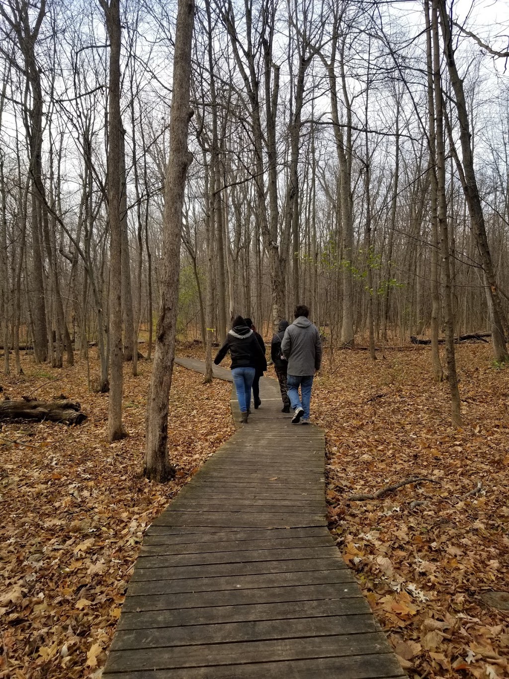 Fernand-Seguin Ecological Centre | 257 Rue Fernand-Seguin, Châteauguay, QC J6K 0J8, Canada | Phone: (450) 698-3133