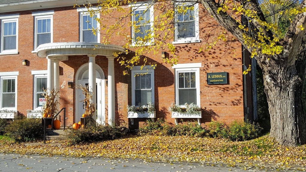 Alexandre Lesous, ostéopathe, D.O. | 46 Rue Principale, Frelighsburg, QC J0J 1C0, Canada | Phone: (514) 839-1874