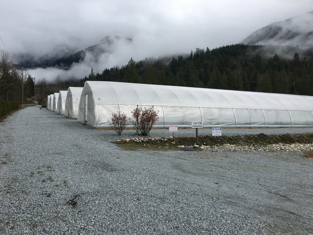 Peels Nurseries Ltd. | 35920 Pattison Rd, Fraser Valley F, BC V2V 4J1, Canada | Phone: (604) 820-7386