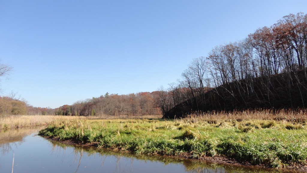 Back to Nature Network | 680 Plains Rd W, Burlington, ON L7T 4H4, Canada | Phone: (905) 527-1158