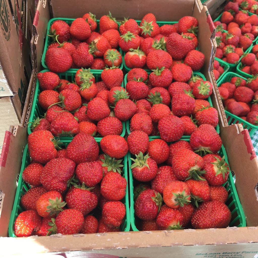 Haliburton County Farmers Market | 2 Park St, Haliburton, ON K0M 1S0, Canada | Phone: (705) 306-0523