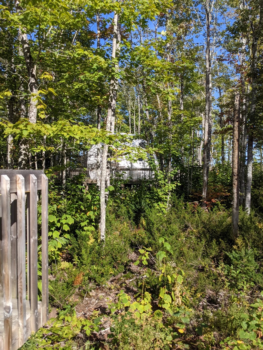 Treetop Haven | 1210 Mt Tryon Rd, Albany, PE C0B 1A0, Canada | Phone: (902) 439-0267