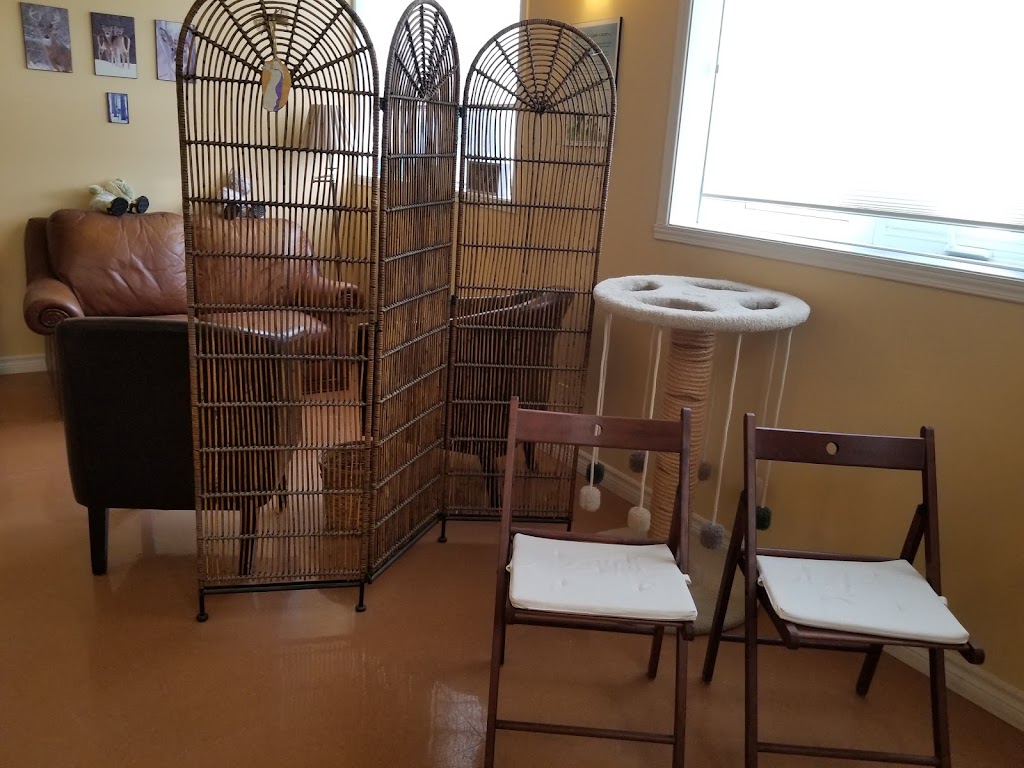 Eternal Companions / Compagnons Éternels - Rigaud | 23 Chem. Henri-Petit, Rigaud, QC J0P 1P0, Canada | Phone: (514) 418-8282