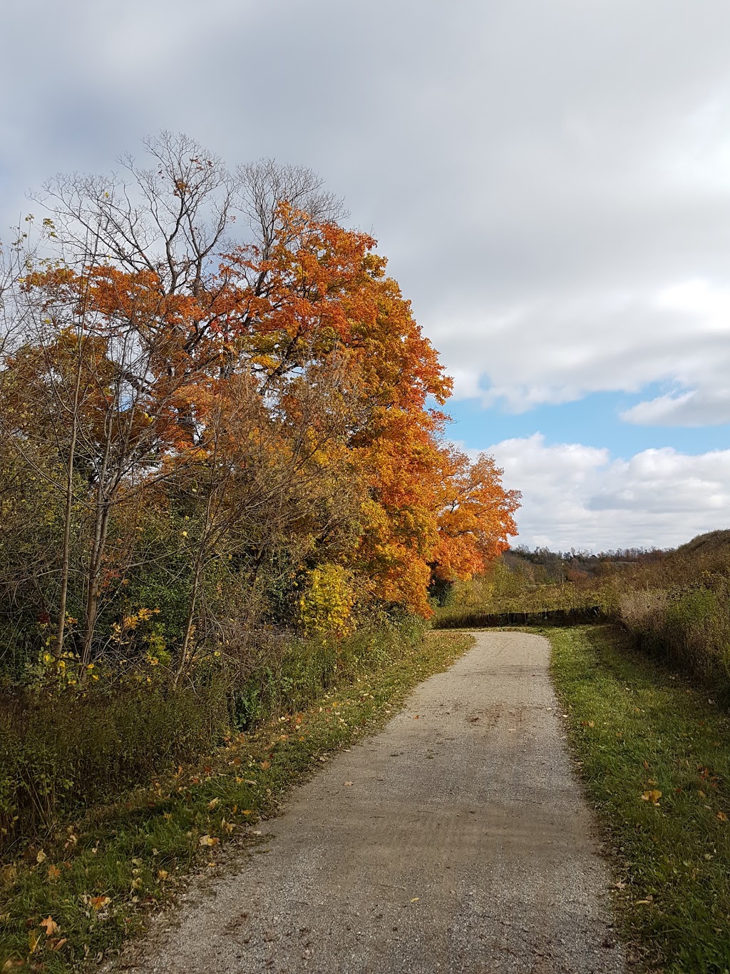 Grand River Trail | 110 River Ridge St, Breslau, ON N0B 1M0, Canada