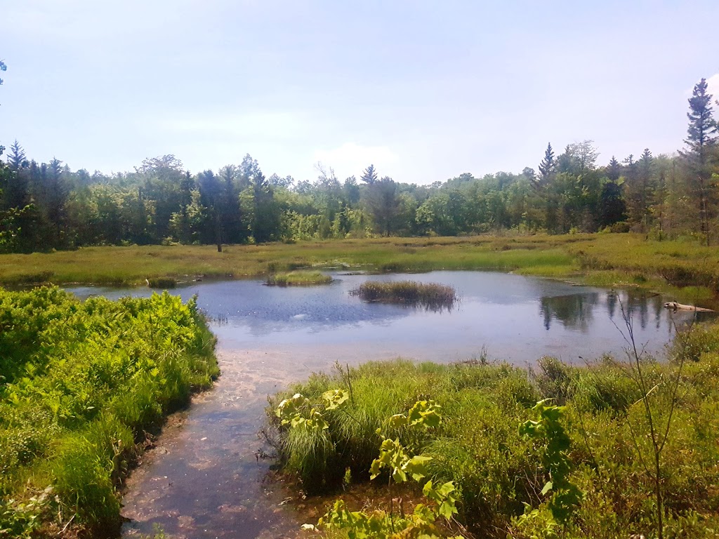 Wolf Trail | Chemin du Lac Meech, Chelsea, QC J9B 1H9, Canada | Phone: (613) 239-5000