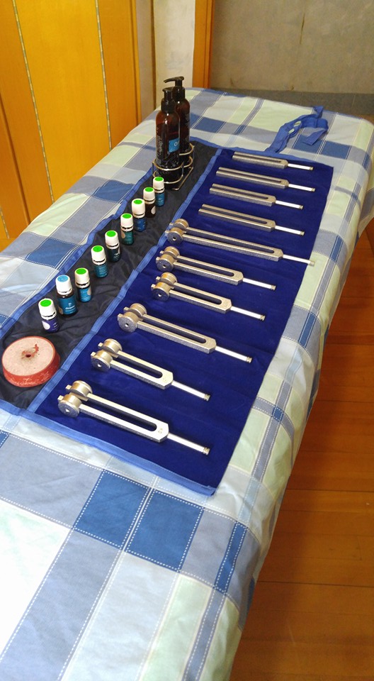 Janis Krause Acupuncture | 358 University Park Dr, Regina, SK S4V 0Y8, Canada | Phone: (306) 921-0084