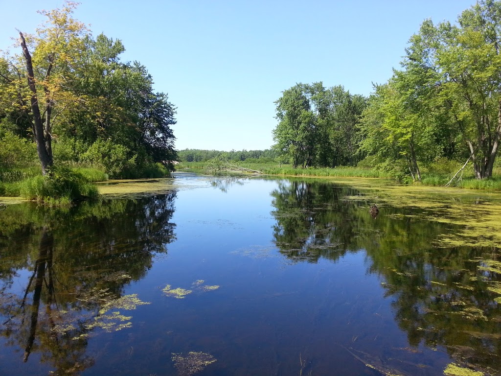 Black Pond Wildlife Management Area | Henderson, NY 13650, USA | Phone: (518) 402-8920