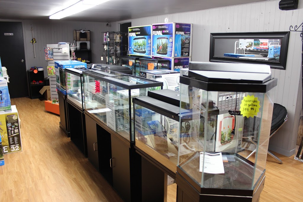 Boutique danimaux Chico Notre-Dame-des-Prairies (Joliette) | 364 Boulevard Antonio-Barrette, Notre-Dame-des-Prairies, QC J6E 1G3, Canada | Phone: (450) 755-4433