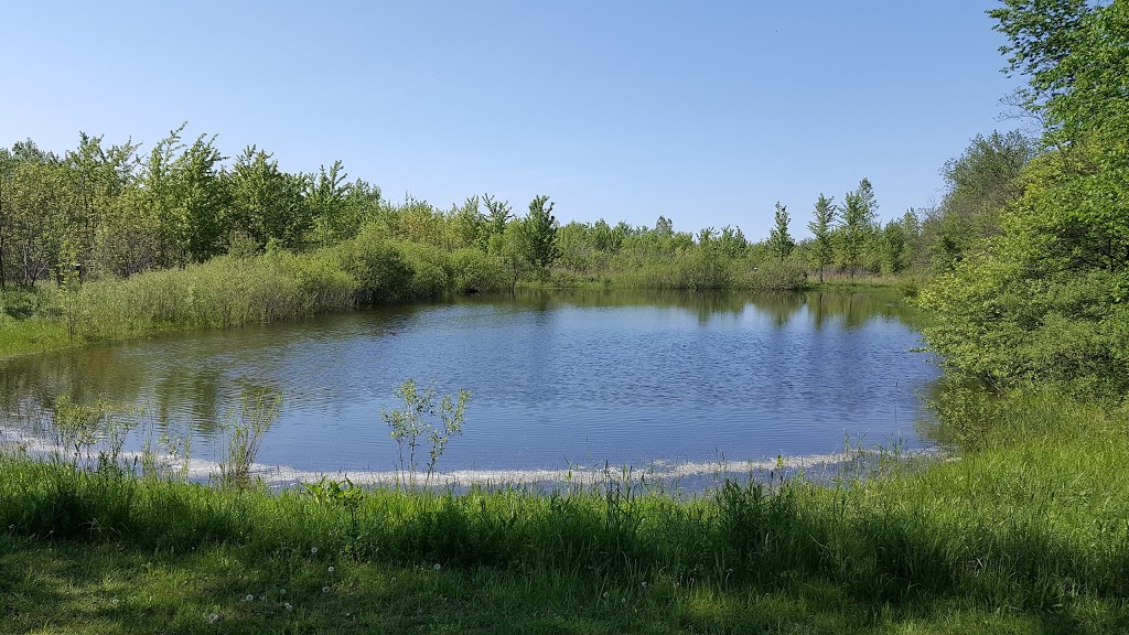 Perch Creek Habitat Area | 1838-1902 Churchill Line, Sarnia, ON N7T 7H3, Canada