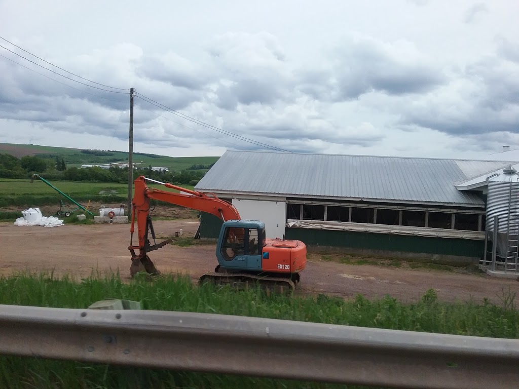 Prime Valley Holsteins | Studholm Parish, NB E5P 1B2, Canada | Phone: (506) 433-4458