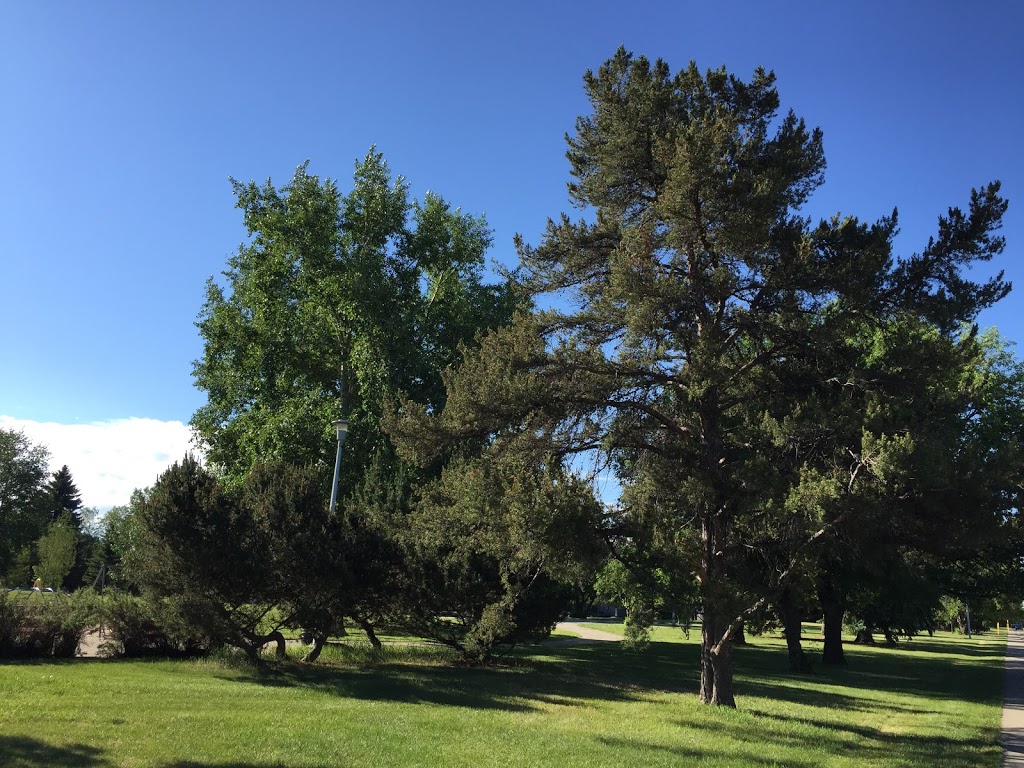 Ken Newman Park | High Park, Edmonton, AB T5P, Canada