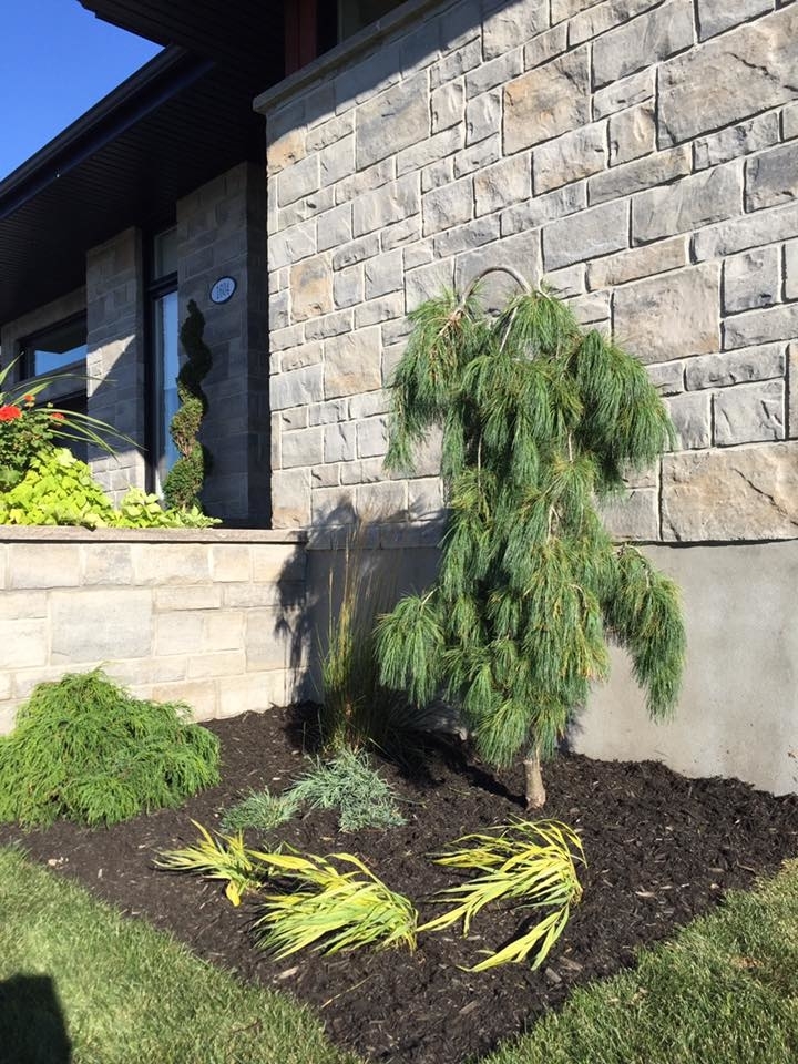 Conception Jardins | 83 Rang St Charles, Saint-Thomas, QC J0K 3L0, Canada | Phone: (450) 365-0664