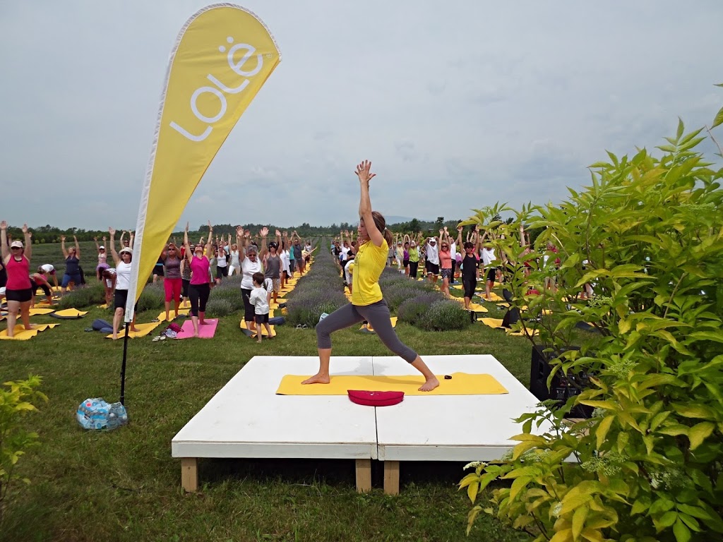 Yogaxpansion | 1762 Chemin Royal, Saint-Pierre, QC G0A 4E0, Canada | Phone: (418) 828-2063