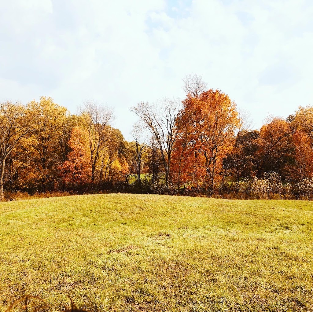 Spring Pasture Farm | 2344 Spring Brook Rd, Springbrook, ON K0K 3C0, Canada | Phone: (416) 728-3222